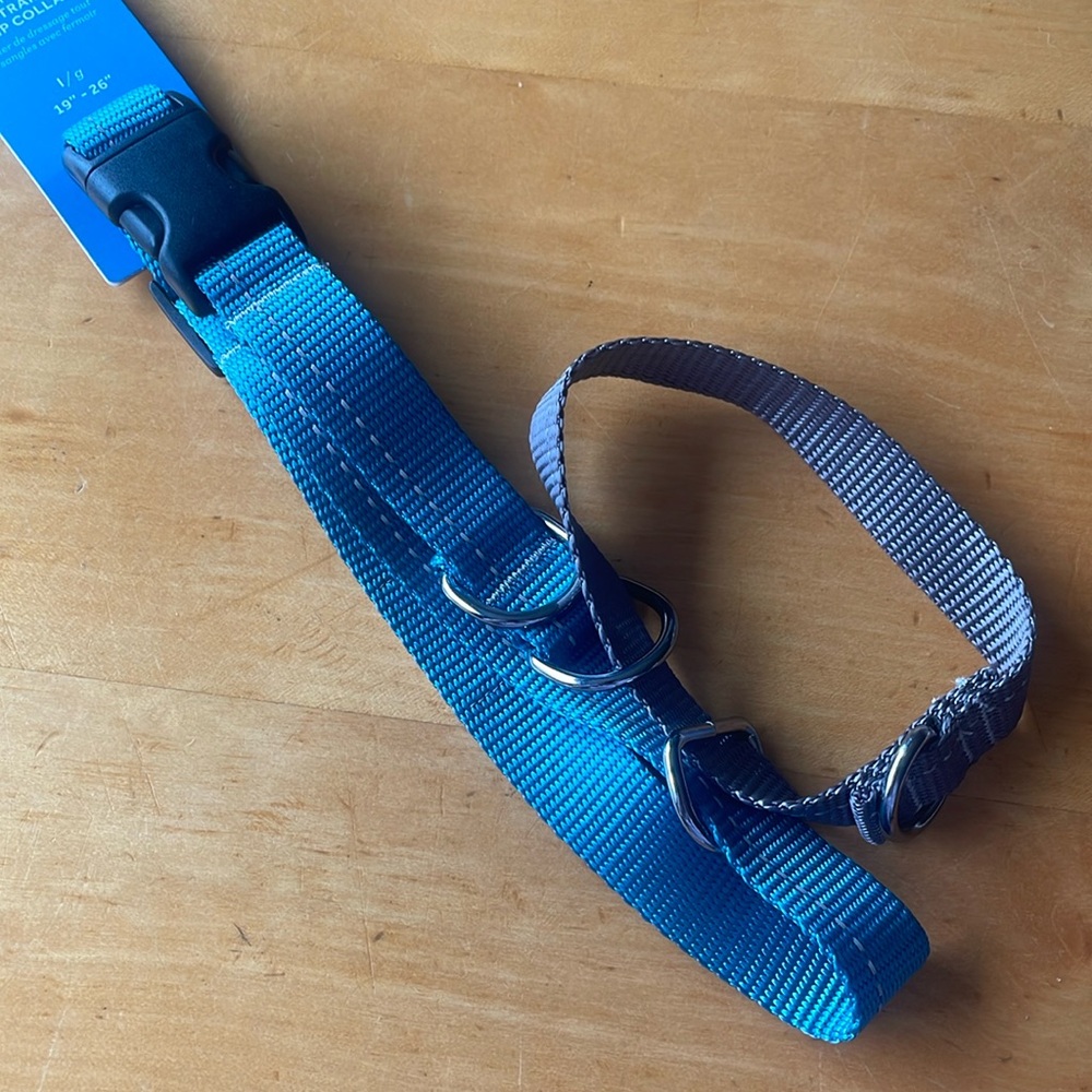 RC Pets martingale clip collar 19”-26” (large)